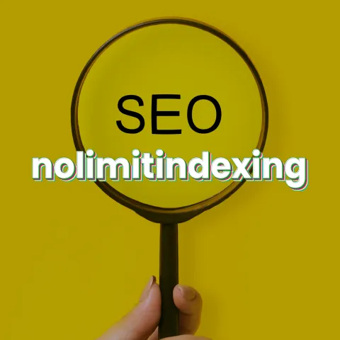 구글 SEO 서비스 \n노리밋인덱싱 개발