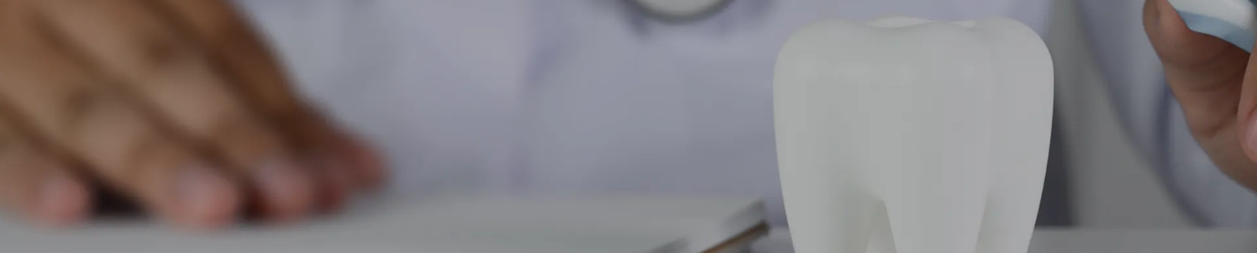 포트폴리오 프로토타입 GIF