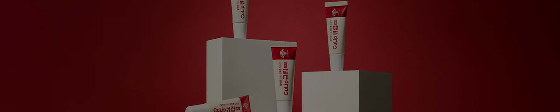 포트폴리오 프로토타입 GIF