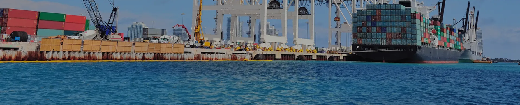 포트폴리오 프로토타입 GIF